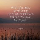 더사랑의교회 이미지