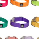 팔레트멍 이미지