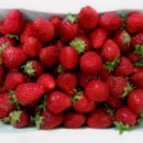 딸기우유 카카오 검색결과