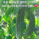 여주-0575 이미지