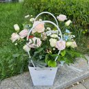 꽃과함께하는힐링원예 | 공동주택 텃밭 수업, 꽃과 함께한 힐링 원예