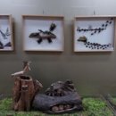 인천나비공원 이미지