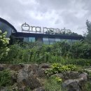 식물원옆카페 이미지