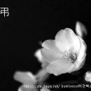 성창상사 이미지