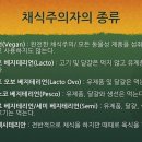 채식주의자의 종류.jpg 이미지