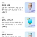 서울역삼초등학교 | [서울 역삼] 거북이와 수족관이있는 이색카페 슬로우커피 강남 무료주차 내돈내산후기