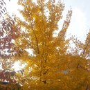 대이동주민센터 이미지