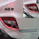 아이덴트칼라