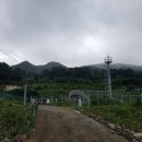 01-36 동구 이미지