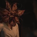 더그레이 이미지