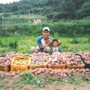 수호일농장 이미지