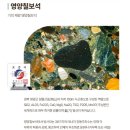F6650 네이버블로그
