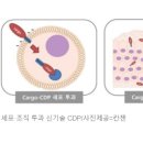 민성개발