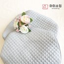 스테디컴 이미지