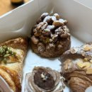 리본반려견 유치원 이미지