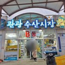 선복호활어 이미지