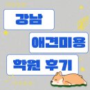 들려보개 펫살롱 | 강남애견미용학원후기 : 10년 차 요리인이 가위 세트를 잡은 진짜 이유