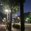 프랑스자수 / 강좌번호 15 | 🇰🇷 ➡️ 🇫🇷 출발 과정
