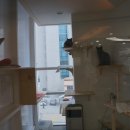 라뽀동물병원 이미지