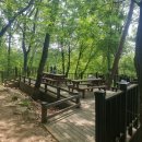 동물원디앤씨공인중개사사무소 | 서울대공원 산림욕장길 동물원 둘레길 후기