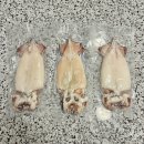 우리가족 건강간식 만들기 | 구룡포 청정식탁 반건조 오징어 후기, 짜지 않고 쫄깃한 우리 가족 건강 간식!