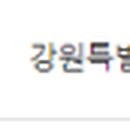 복골 양지마을 메밀국수 이미지