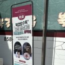 충북대학교박물관 | [충남 공주] 힐링하는 당일치기 여행 후기,코스추천