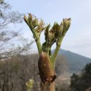 삼순농장 이미지