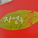 화림농원 - 함양군 우전길 12-1 | 화림농원