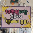 제스토리 | 제주 서귀포 소품샵 선물 추천 제스토리 주차 방문후기