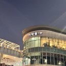 해수산 | 가락시장] 싱싱해수산 : 싱싱한 겨울 방어 내돈내산 만족 후기 (가격, 인어교주해적단, 상차림식당은 아쉽)