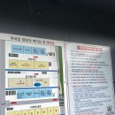 개네집 | <양주> 개별 울타리로 편하게 캠핑을 즐길 수 있는 애견 전용 캠핑장 '개네집캠핑장'