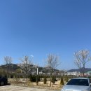 대전 신상 대형 브런치 베이커리 카페, 모닝트리