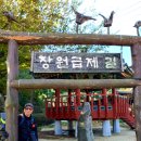 괘방령로 티스토리