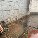 터미널 세차장 이미지