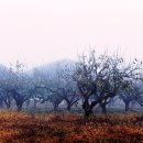 죽동마을 이미지