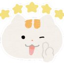 플루800용정점