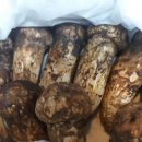 송이세탁소 이미지