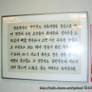 안동손칼국수