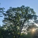 느티나무2농장 이미지