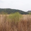 바탕 티스토리