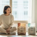 보은읍사무소 공중화장실 | 고양이 화장실 모래 비교｜먼지·냄새·가격까지 2025년 제품별 총정리