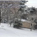 포천파크야영장 이미지