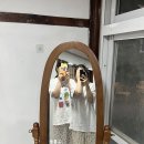 독도게스트하우스 | 🏝울릉도 가성비 숙소 후기 | 뉴섬 게스트하우스 (25년 리모델링)