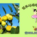 뱃들사우나.찜질방 이미지