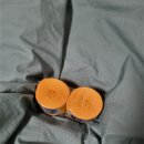 바디복싱짐 | 복싱 2개월 후기_파이널복싱짐