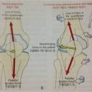 VIP퍼스널 운동센터 이미지
