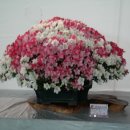 호암체육관 이미지