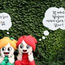 정읍시청 종합민원과 이미지