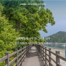 희망의 나무 이미지
